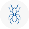 Ant Removals In Redruth