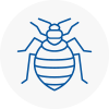 Bed Bug Extermination In Redruth