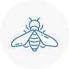 Bee Nest Removal Redruth