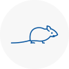 Mice Exterminators In Redruth