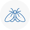 Moth Control Specialists In Redruth